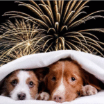 Kenia López Rabadán representará a Diputados en el Desfile Cívico Militar