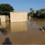 De Japón a México: el arte del amigurumi se reinventa en PILARES