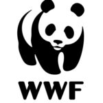 Reforma Electoral: el Congreso se prepara para un debate que definirá la democracia