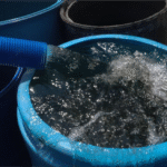 Beber refrescos podría estar ligado a la depresión en mujeres, según un estudio alemán