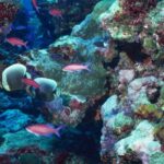 Por qué el deseo sexual se apaga en las relaciones largas (y cómo volver a encenderlo)