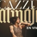 Autoridades llaman a proteger a perros y gatos negros durante Halloween y Día de Muertos