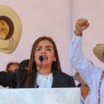 Cocinar sin fuego: por qué las cocinas de inducción se vuelven el nuevo símbolo del estilo de vida moderno