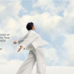 La melancolía de las líneas eléctricas: por qué los pájaros no se electrocutan al posarse, pero sí las cigüeñas