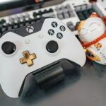 La melancolía de las líneas eléctricas: por qué los pájaros no se electrocutan al posarse, pero sí las cigüeñas