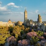 Dehydrated Browsing: la navegación deshidratada que seduce a quienes están hartos de lo “demasiado”