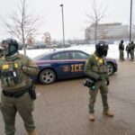 Gatos siameses: elegancia, inteligencia y un carácter que no pasa desapercibido