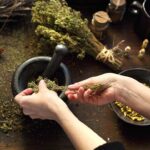 Guía definitiva para los moles de Oaxaca: más allá del negro y el colorado