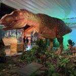 Trump ordena abrir archivos secretos sobre Ovnis tras polémicas declaraciones de Obama