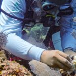 Pakistán y Afganistán acuerdan tregua por Eid-ul-Fitr