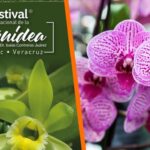 Pentágono anuncia jornada de bombardeos más intensa en Irán este martes