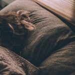 Científicas mexicanas “crían” corales resistentes y dan esperanza a los arrecifes del Caribe